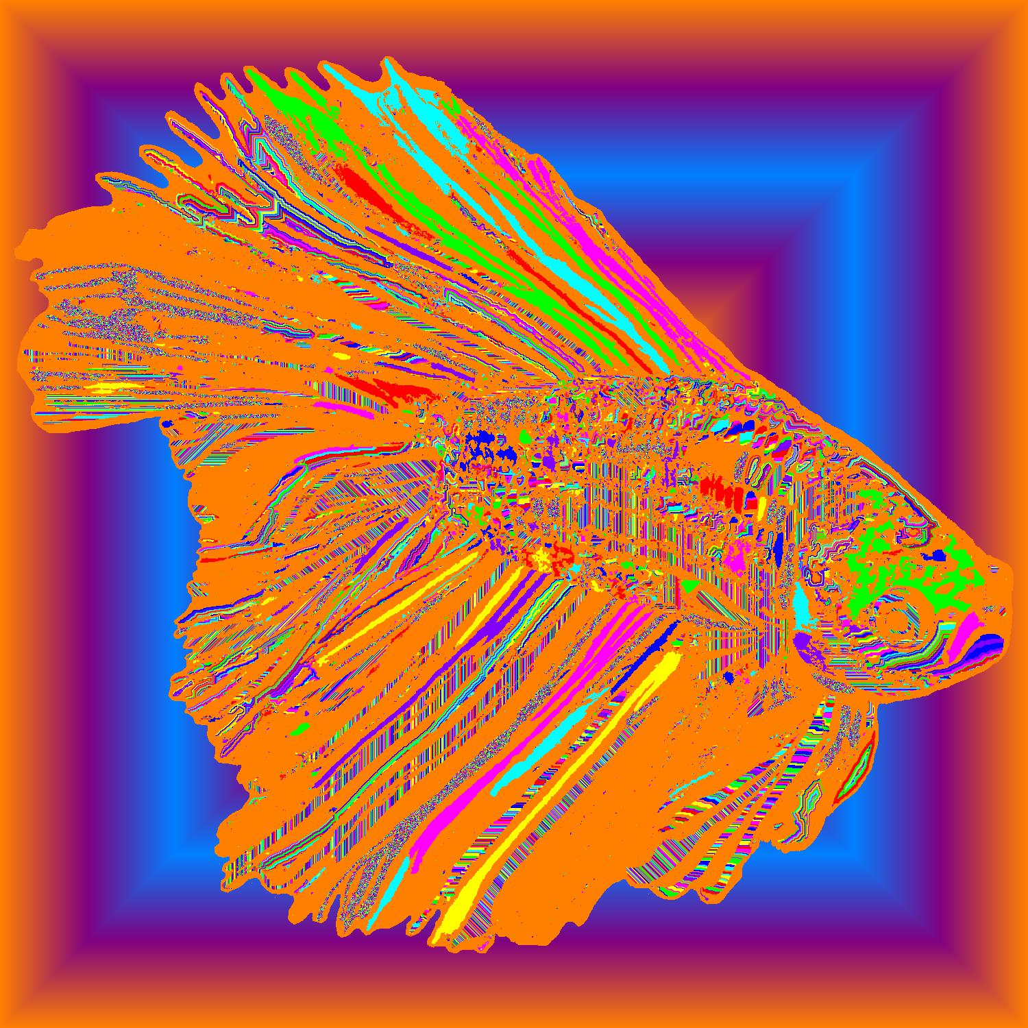 BD250504
