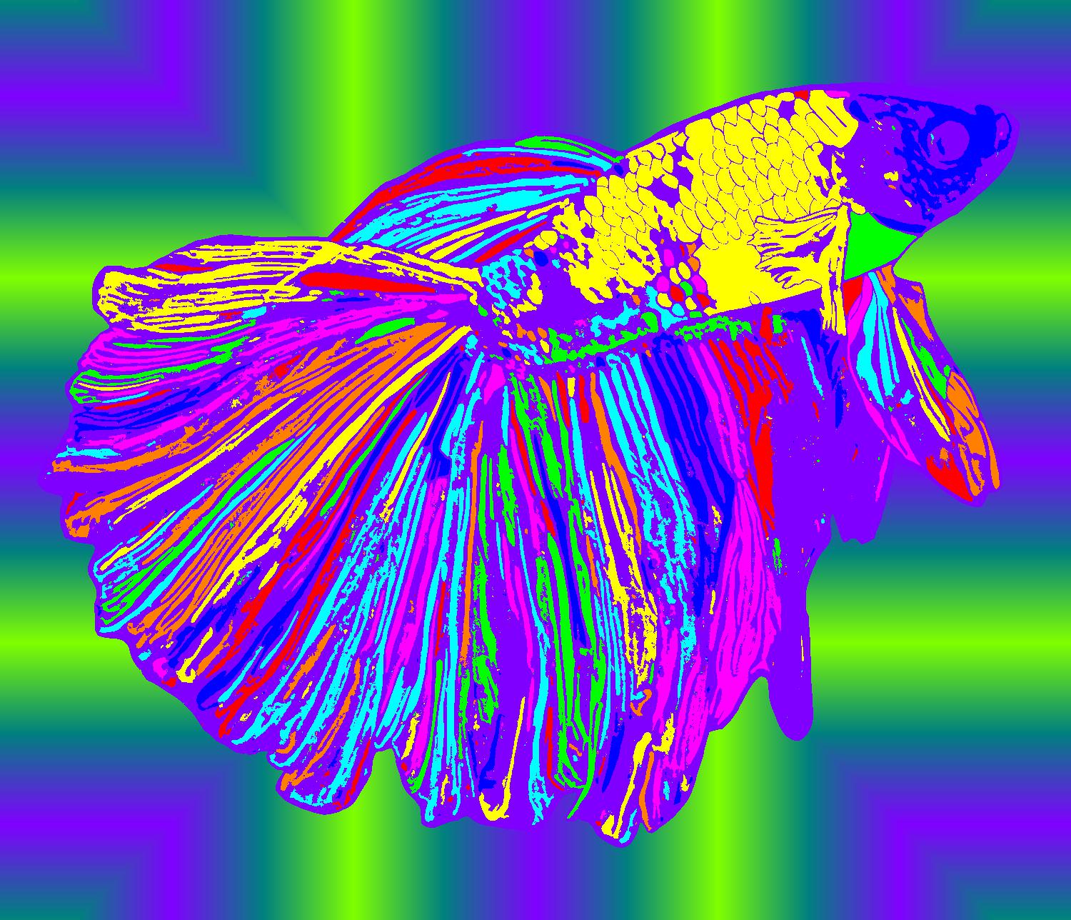 BD250506