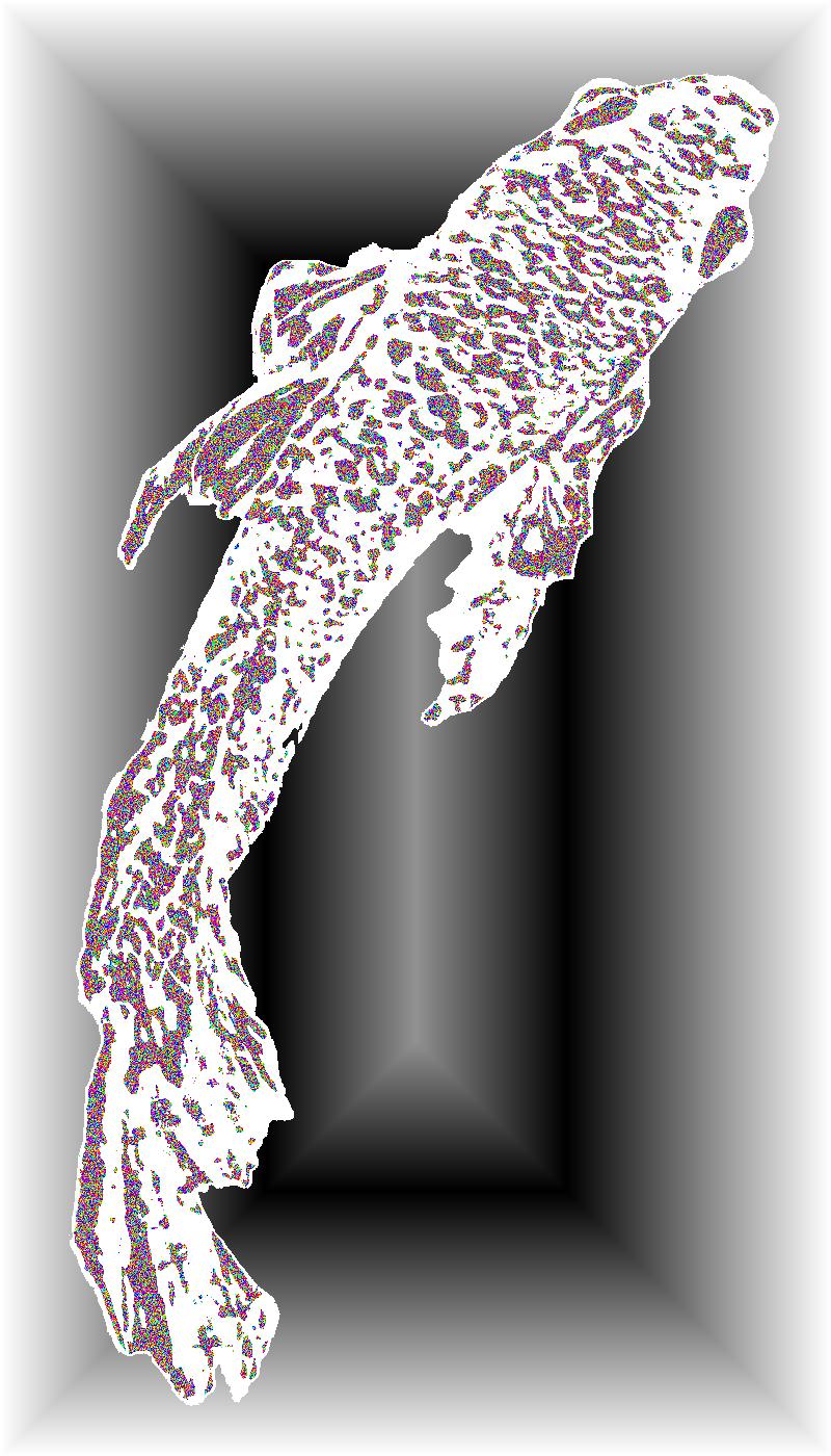 BD250509