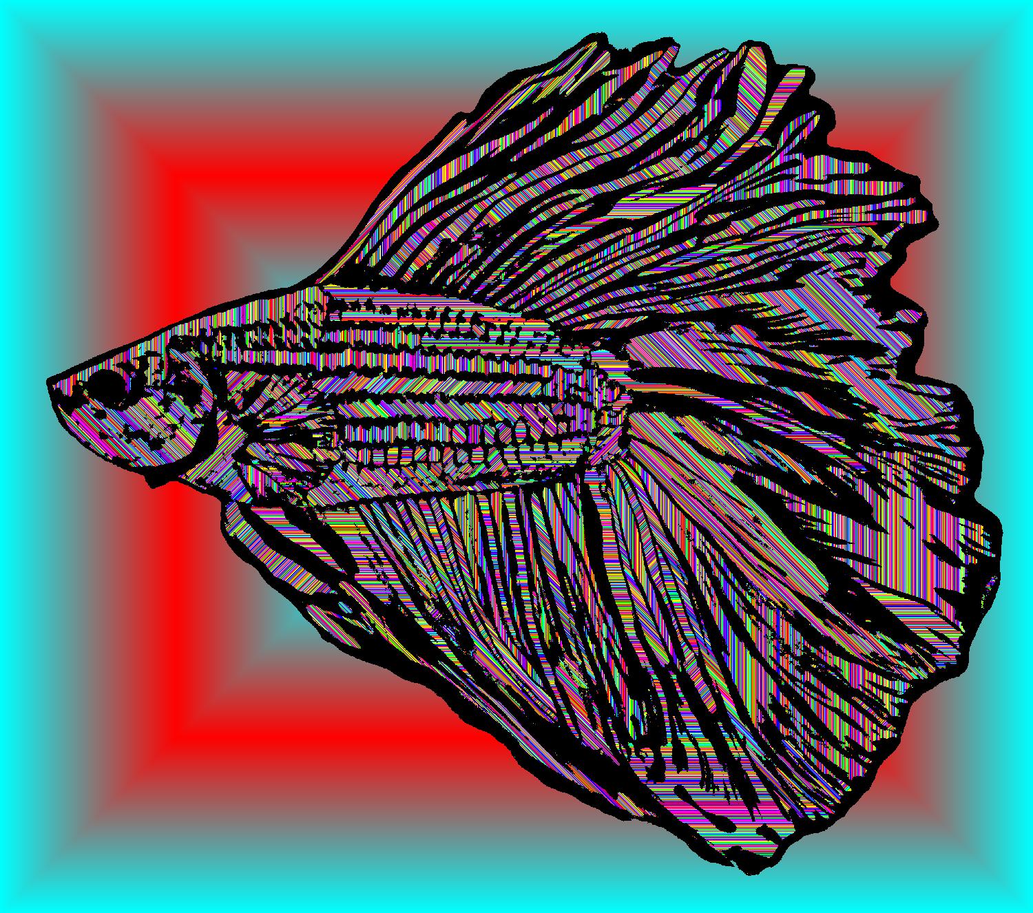 BD250519