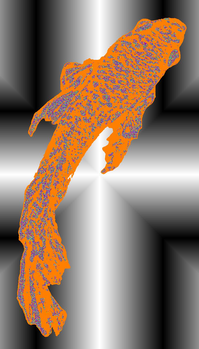 BD250606