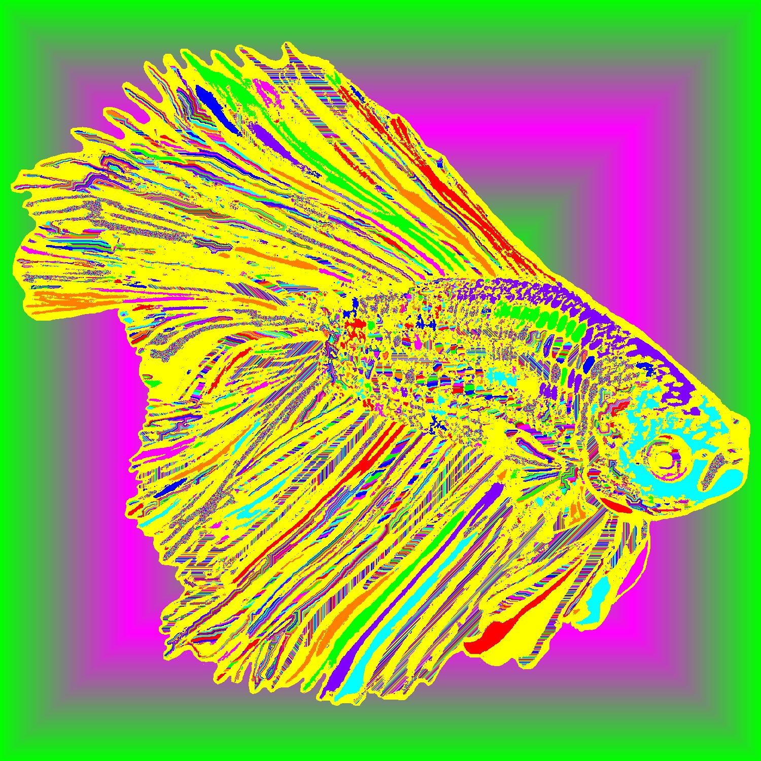 BD250620