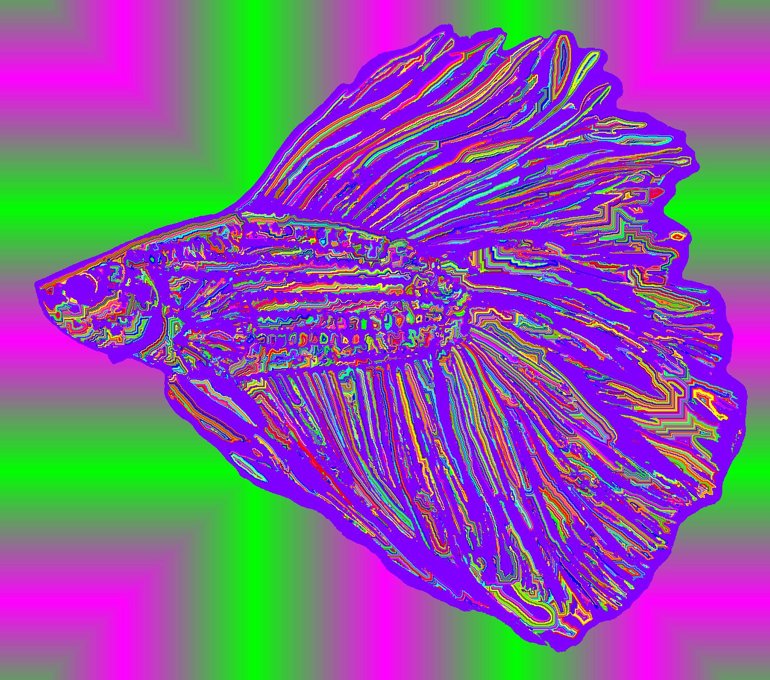 BD250630
