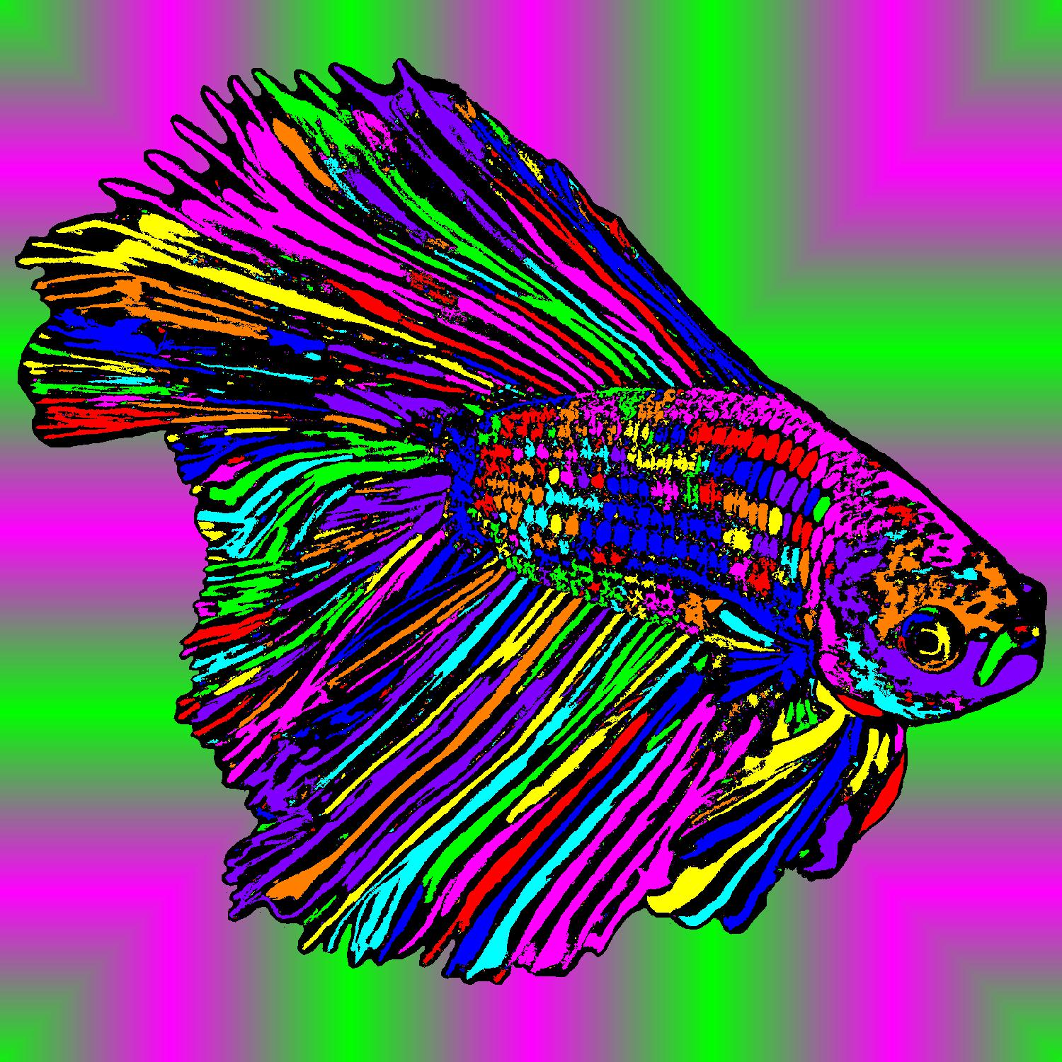 BD250708