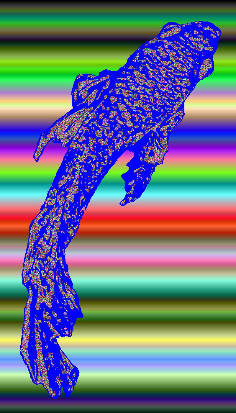 BD250721