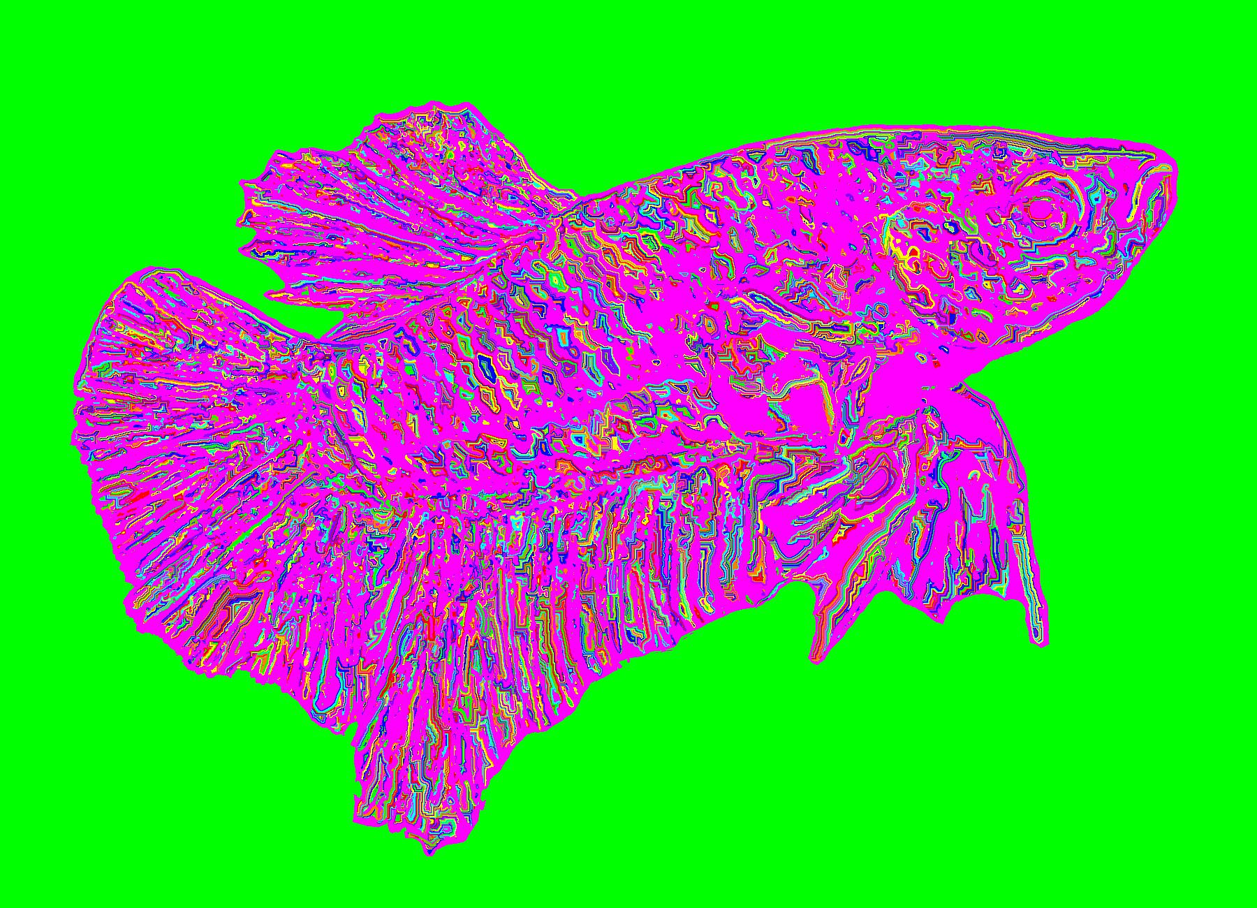 BD250806
