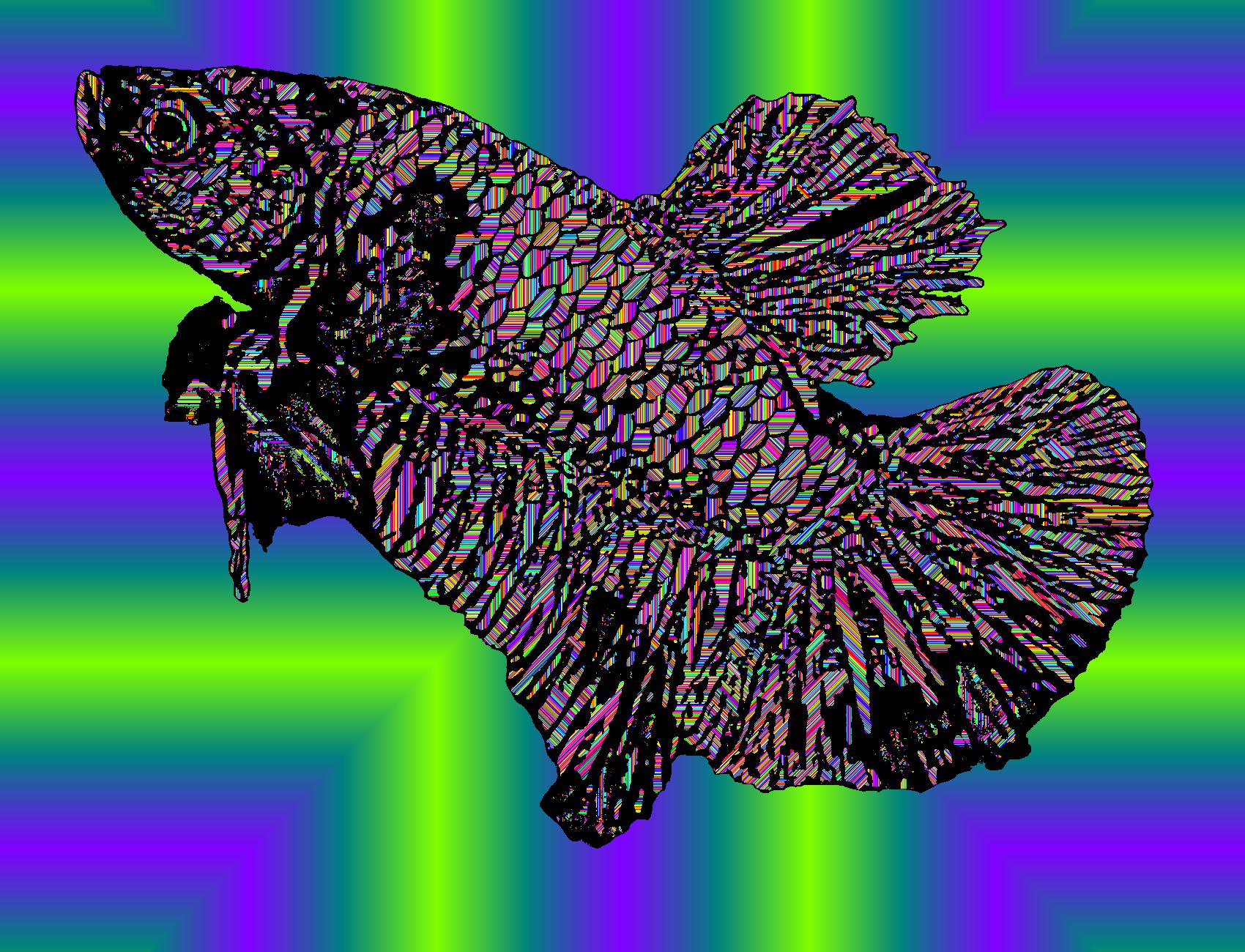 BD250807