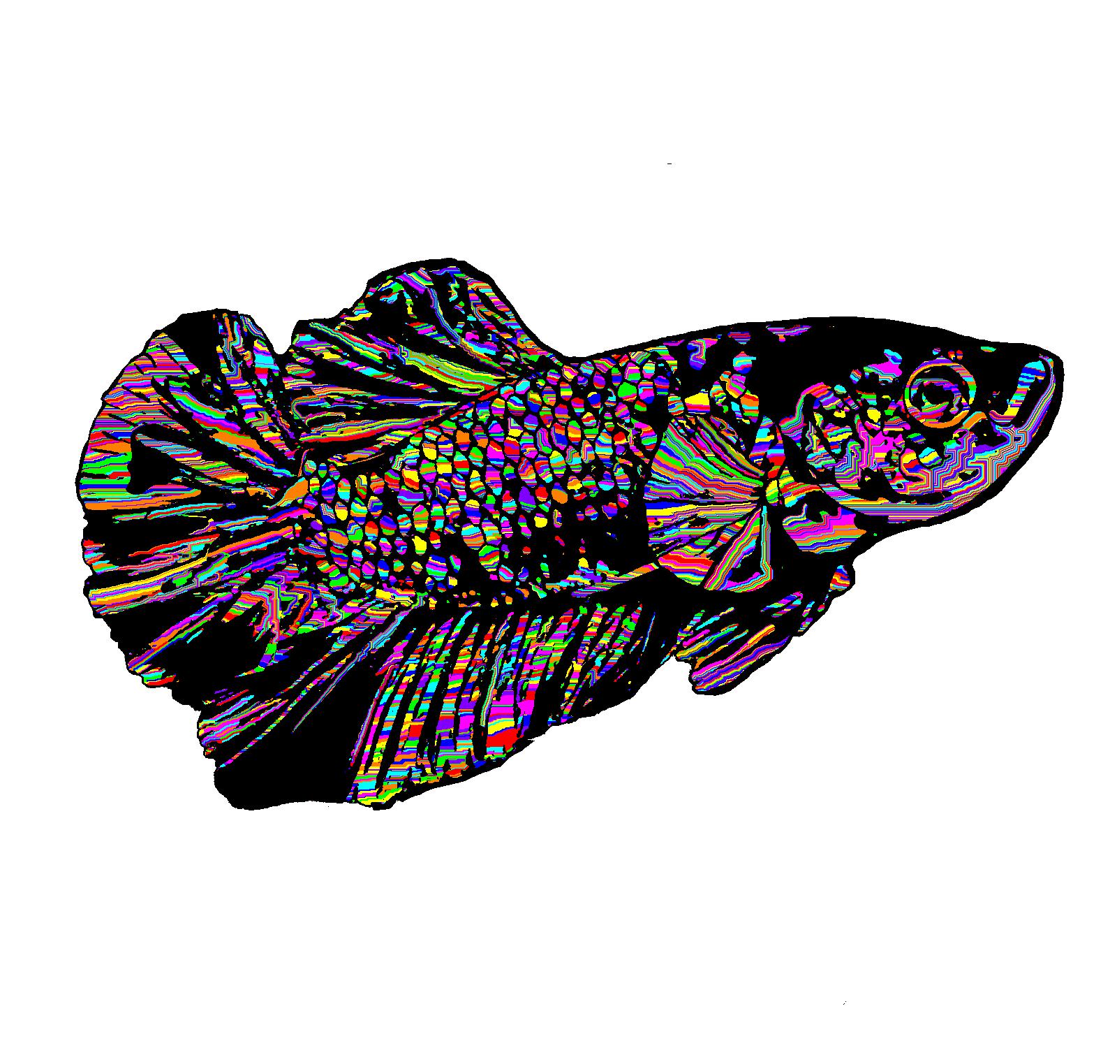 BD250822