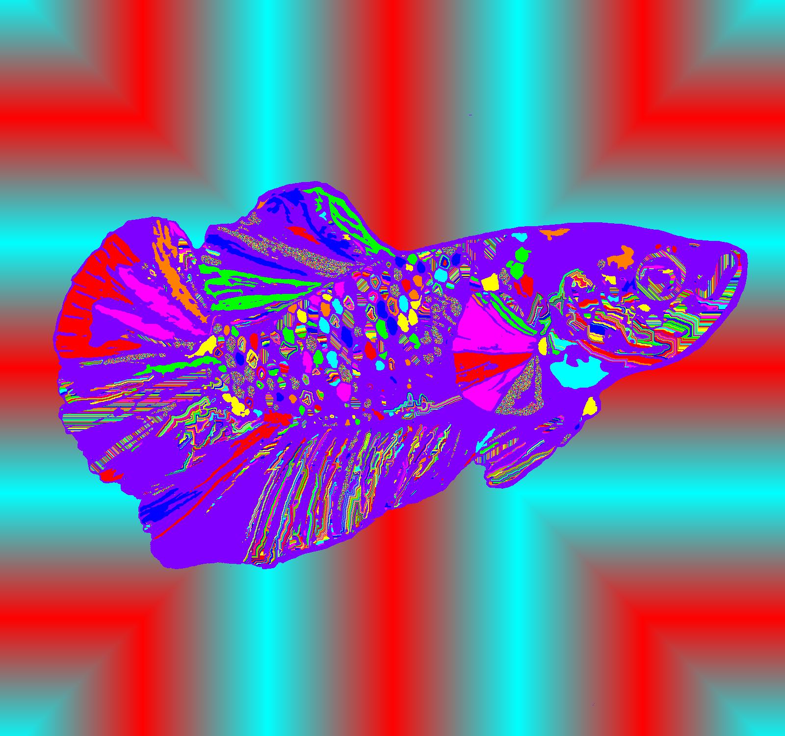 BD250906