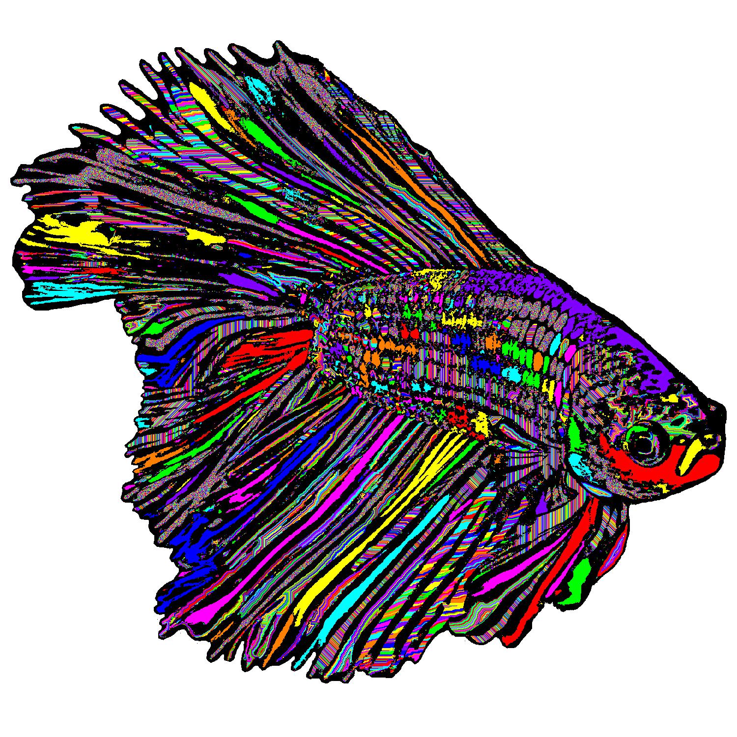 BD251002