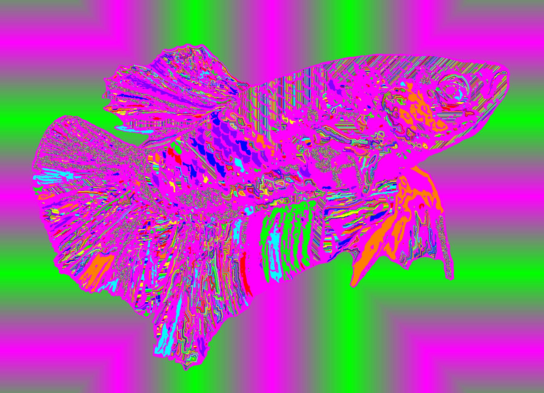 BD251004