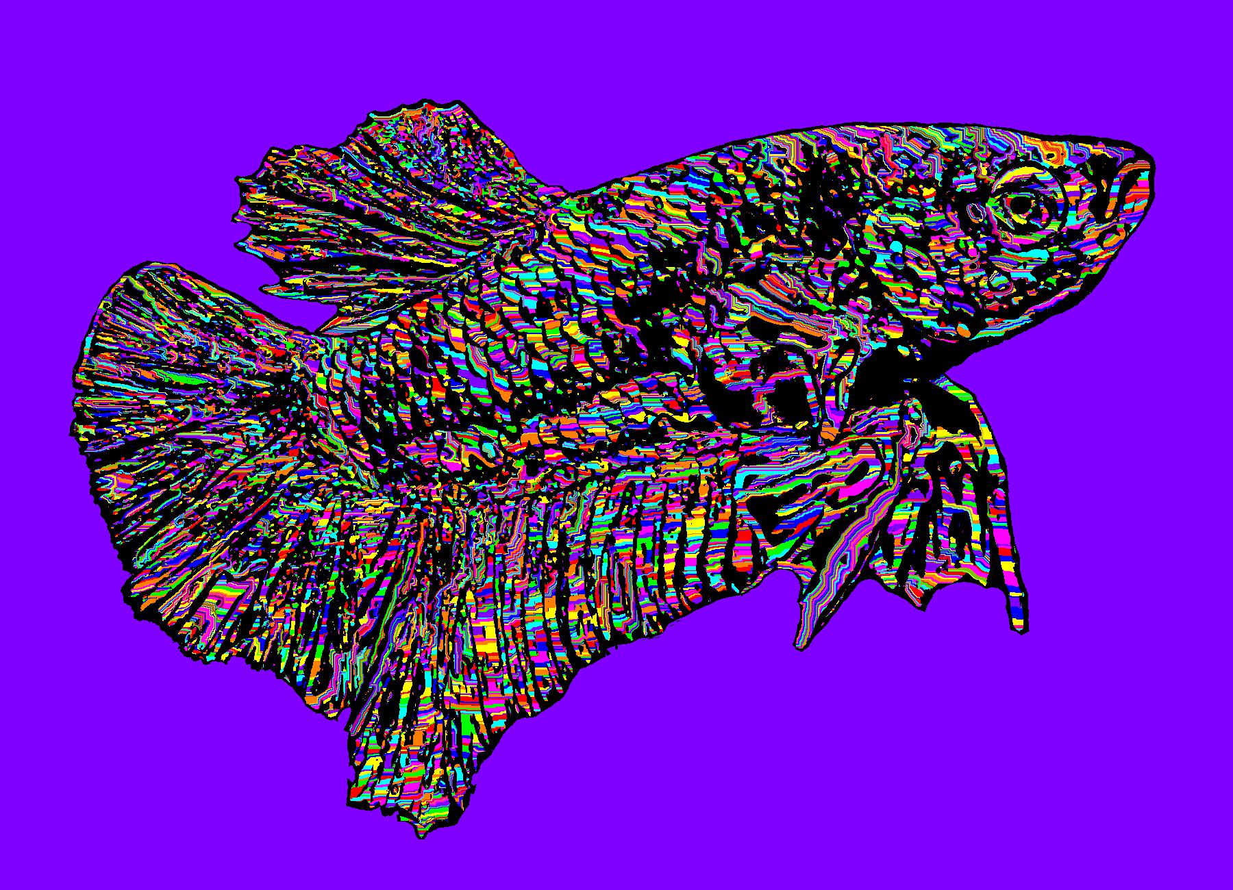 BD251007
