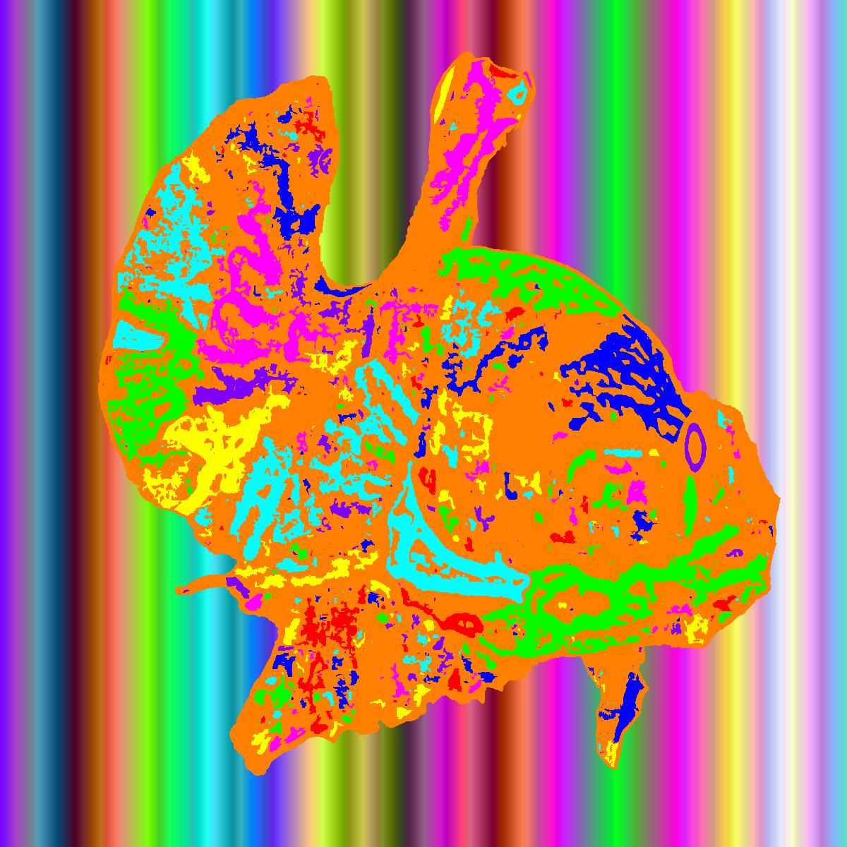 BD251019