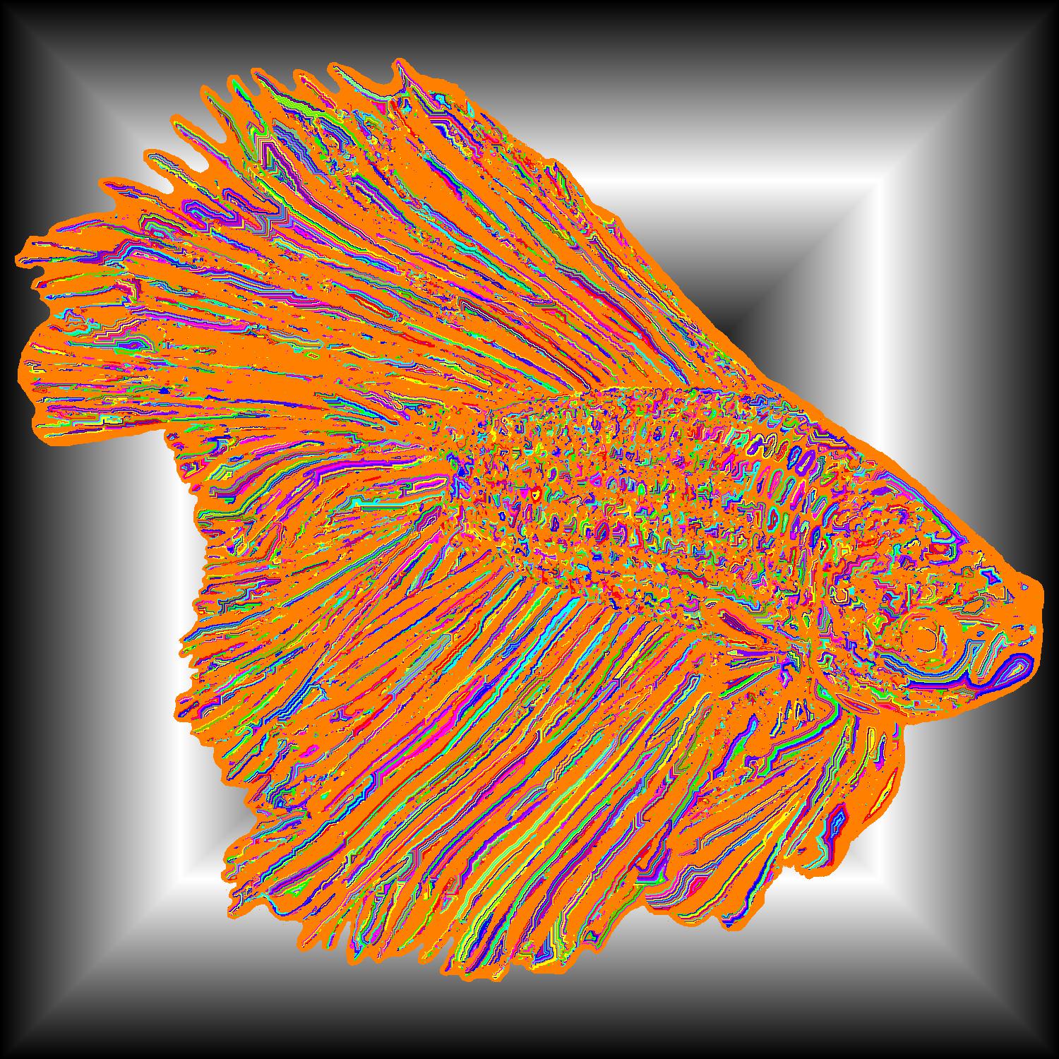 BD251026