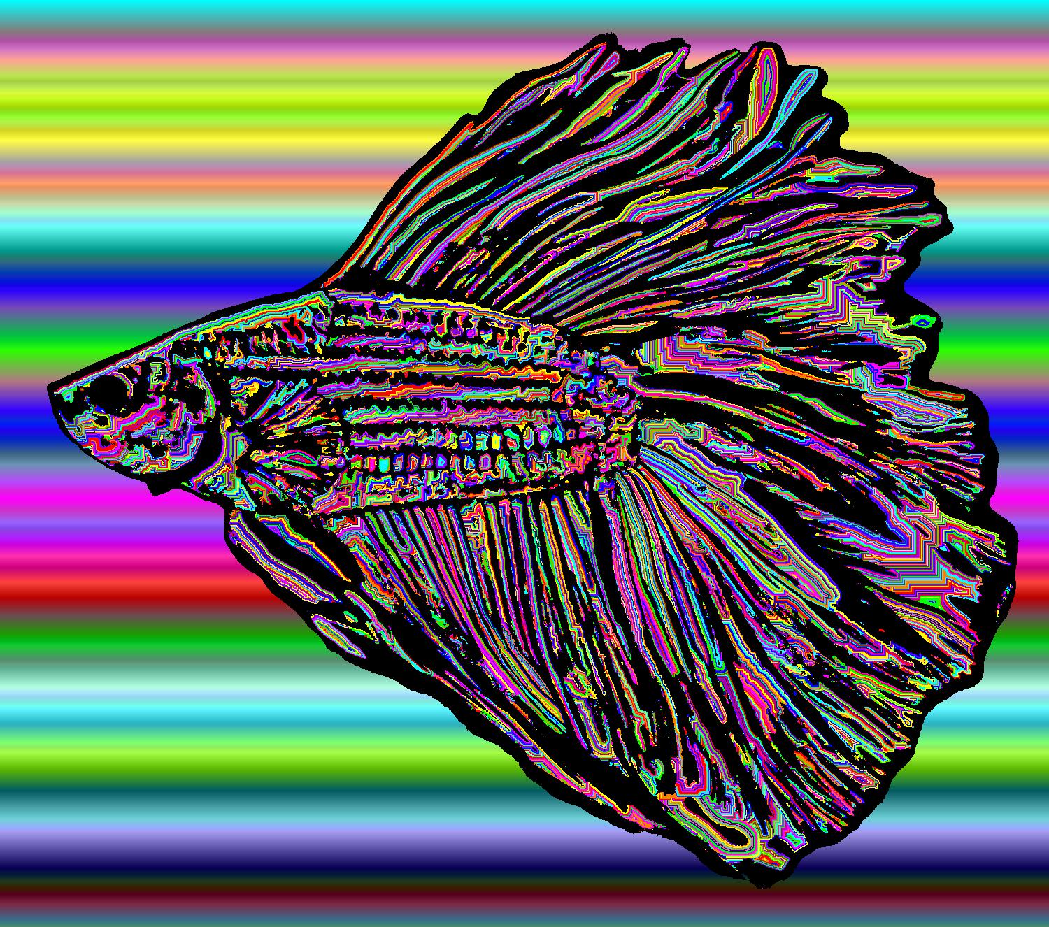 BD260503