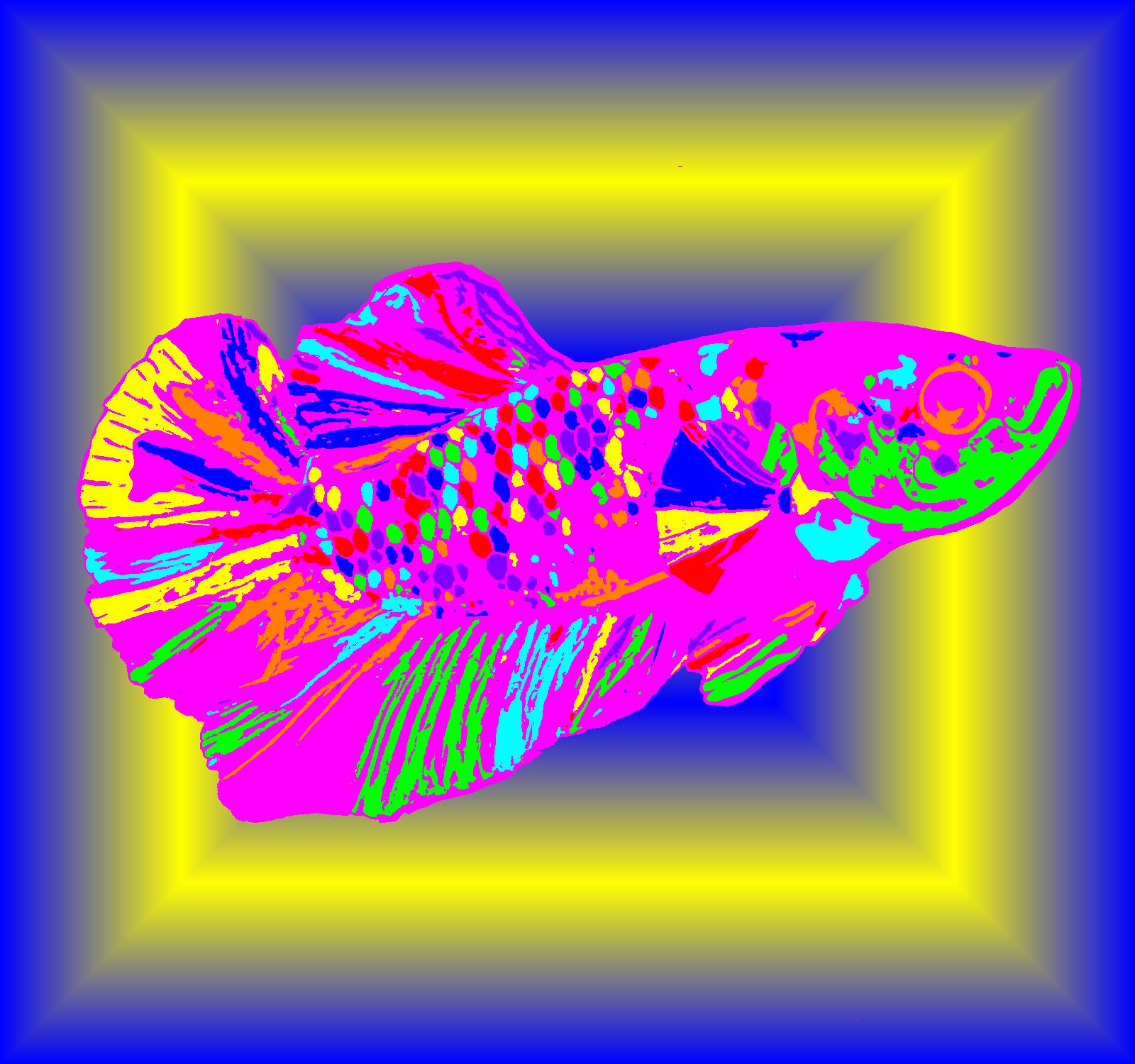 BD260504