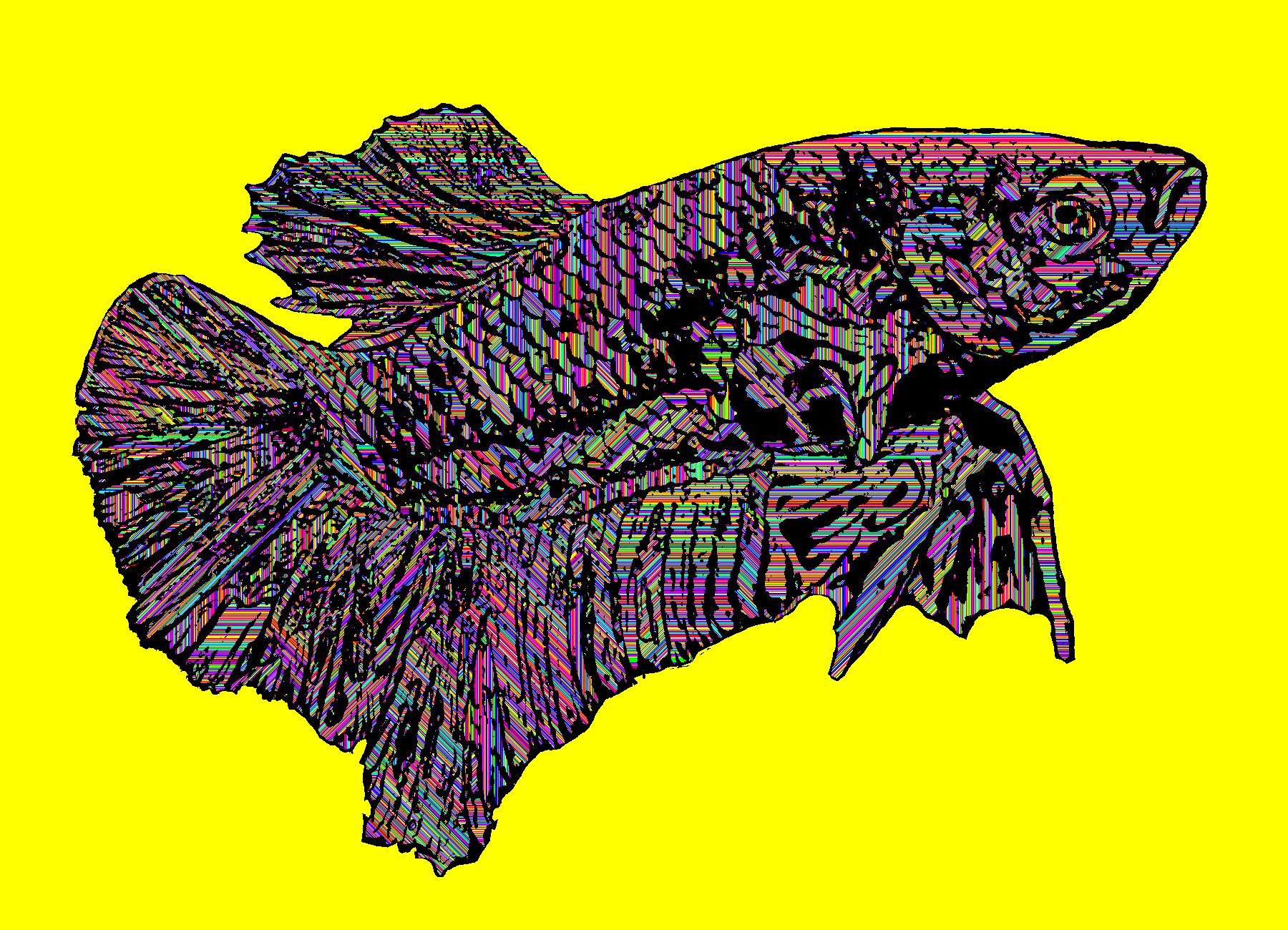 BD260505