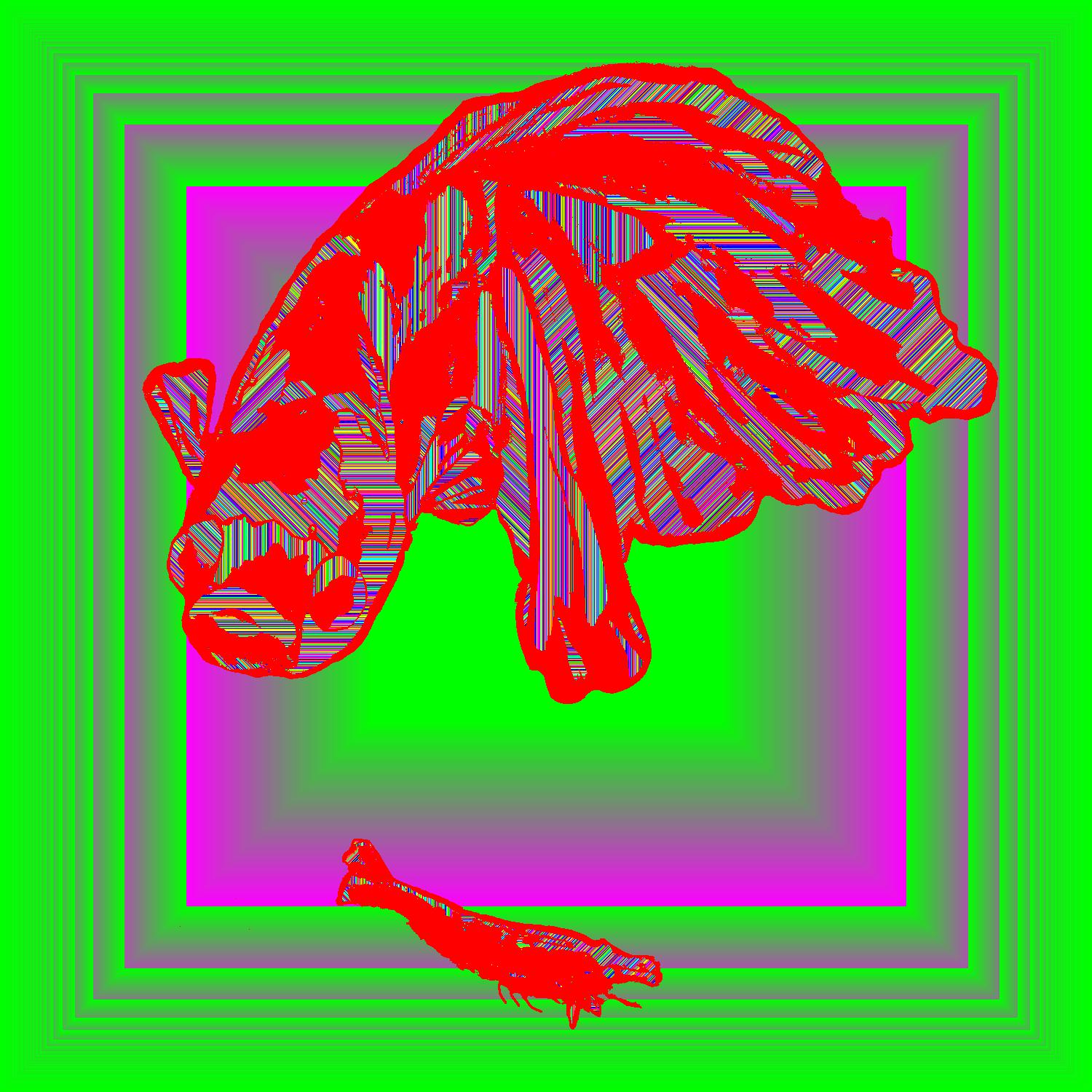 BD260506