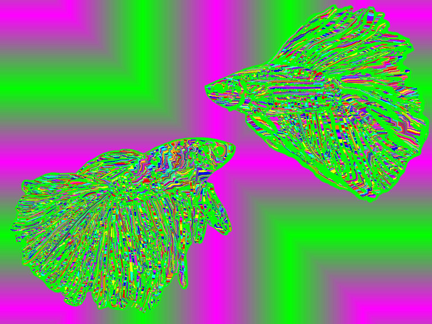 BD260512