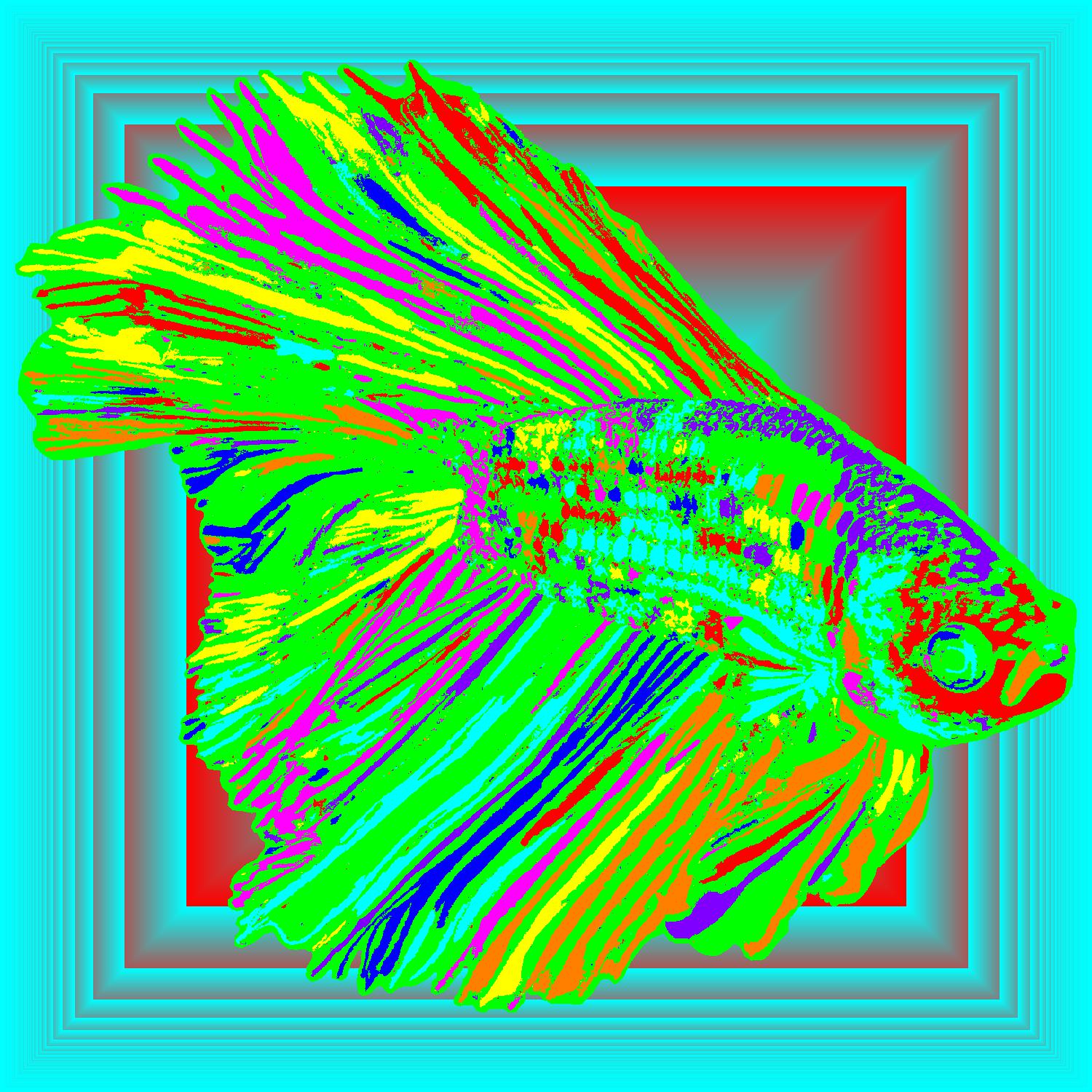 BD260515