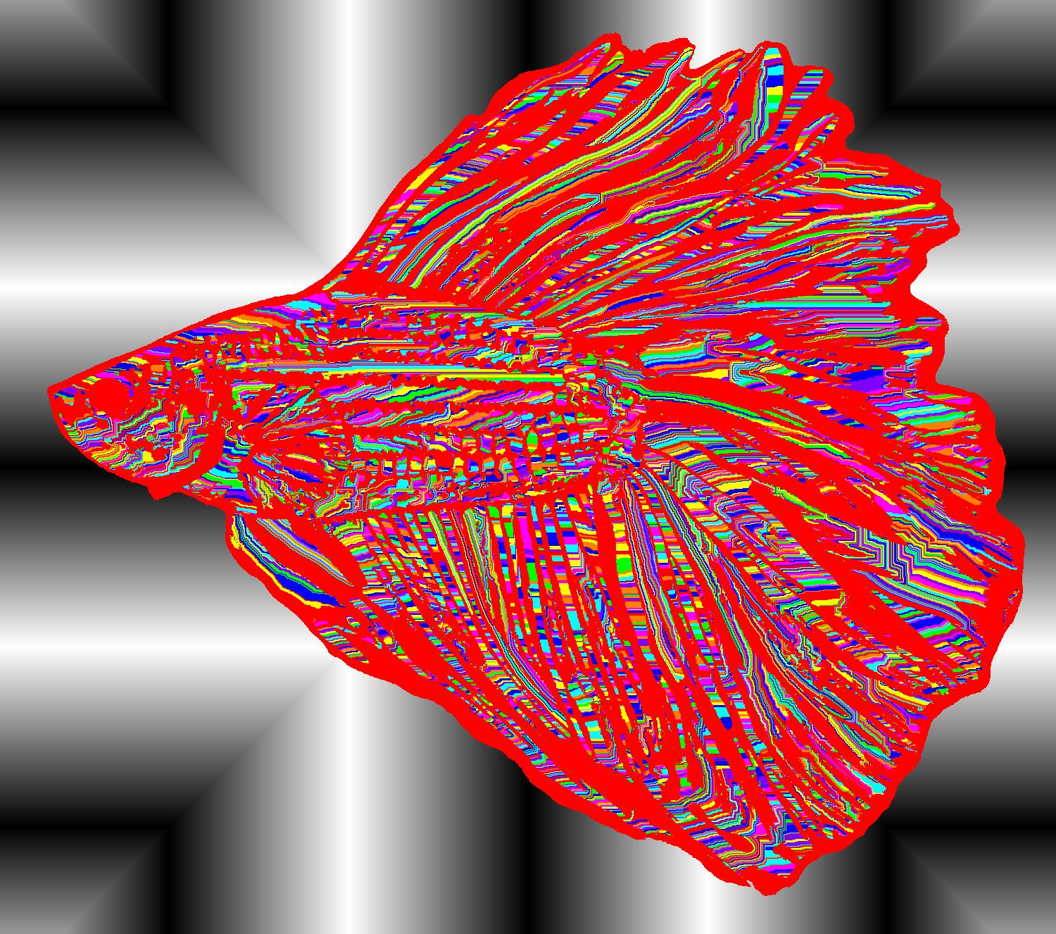 BD260518