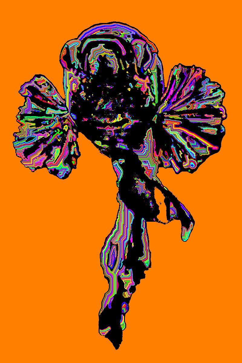 BD260523