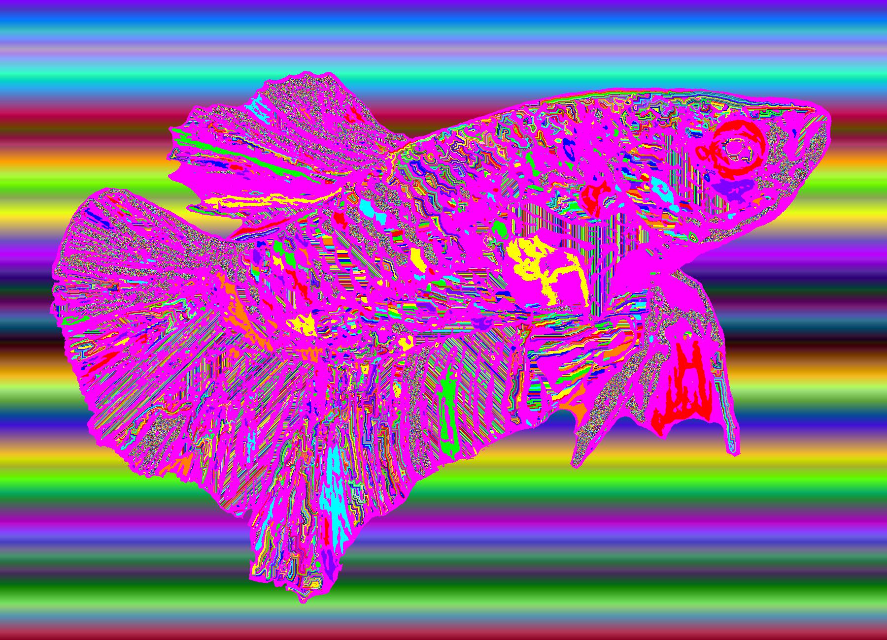BD260719