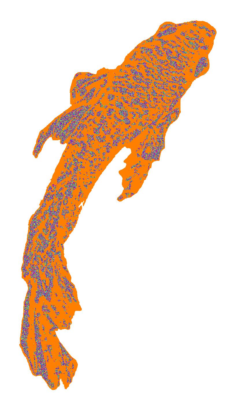 BD260721