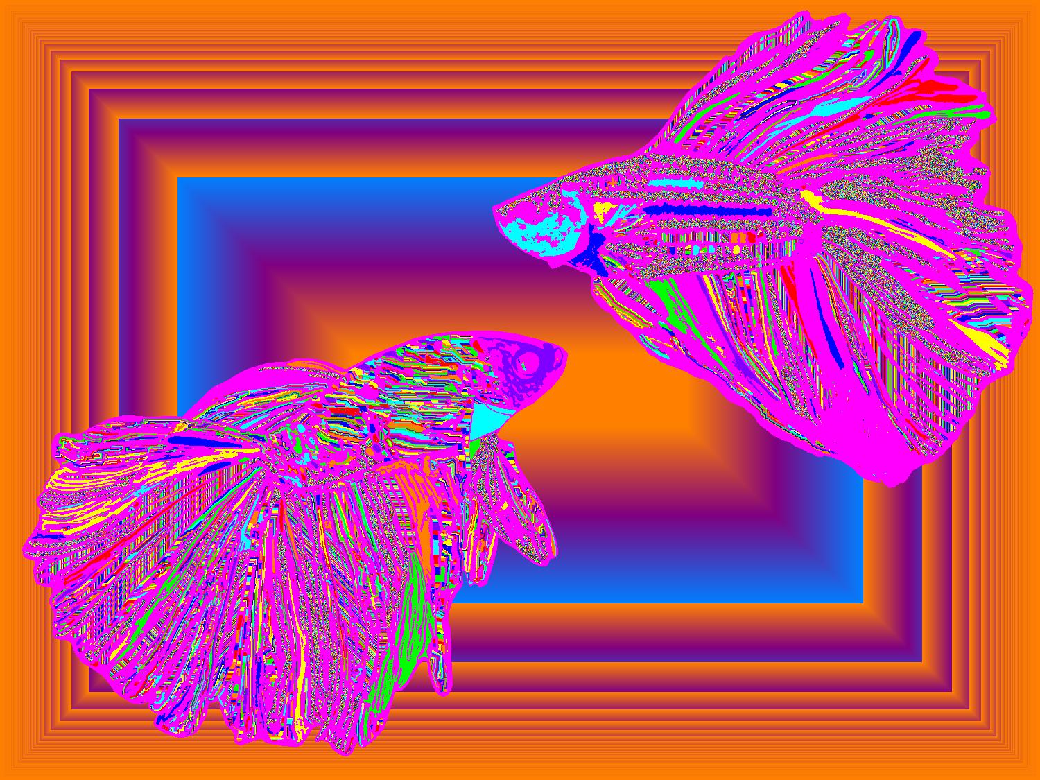 BD260817