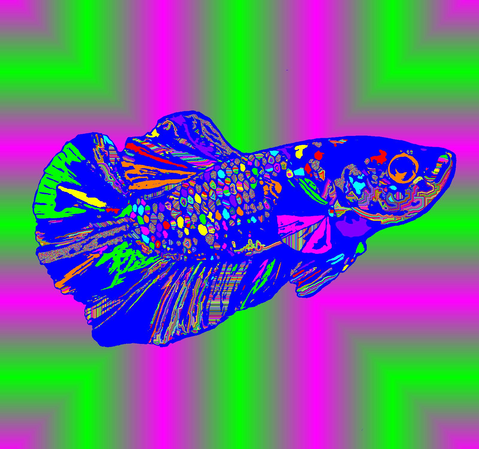 BD261008